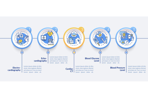 Heart Screening Vector Infographic: A Clear Visual Guide to Cardiovascular Health Communication